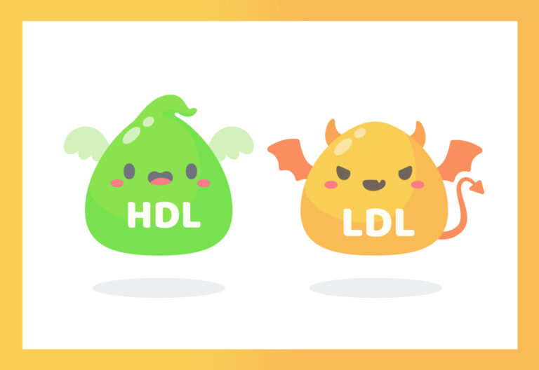 Cholestérol HDL LDL solutions