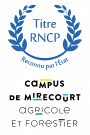 Titre RNCP certification d'état
